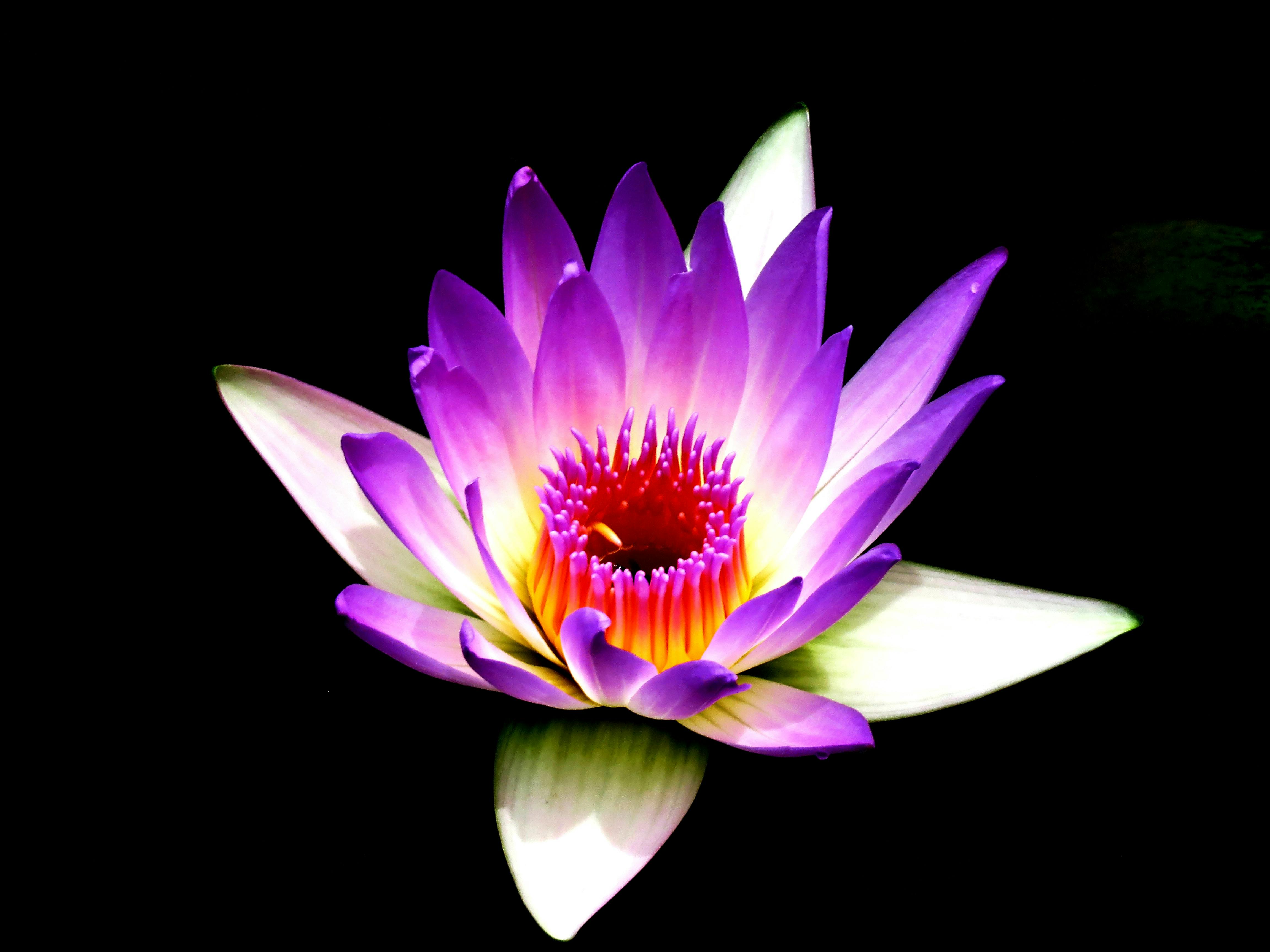 Custom spiritual practice session
