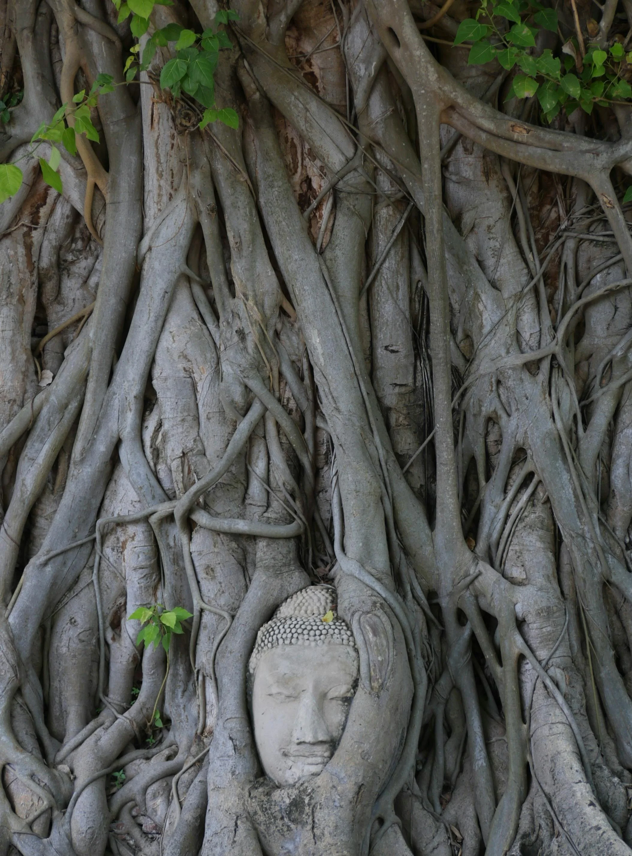 Sacred integration practices