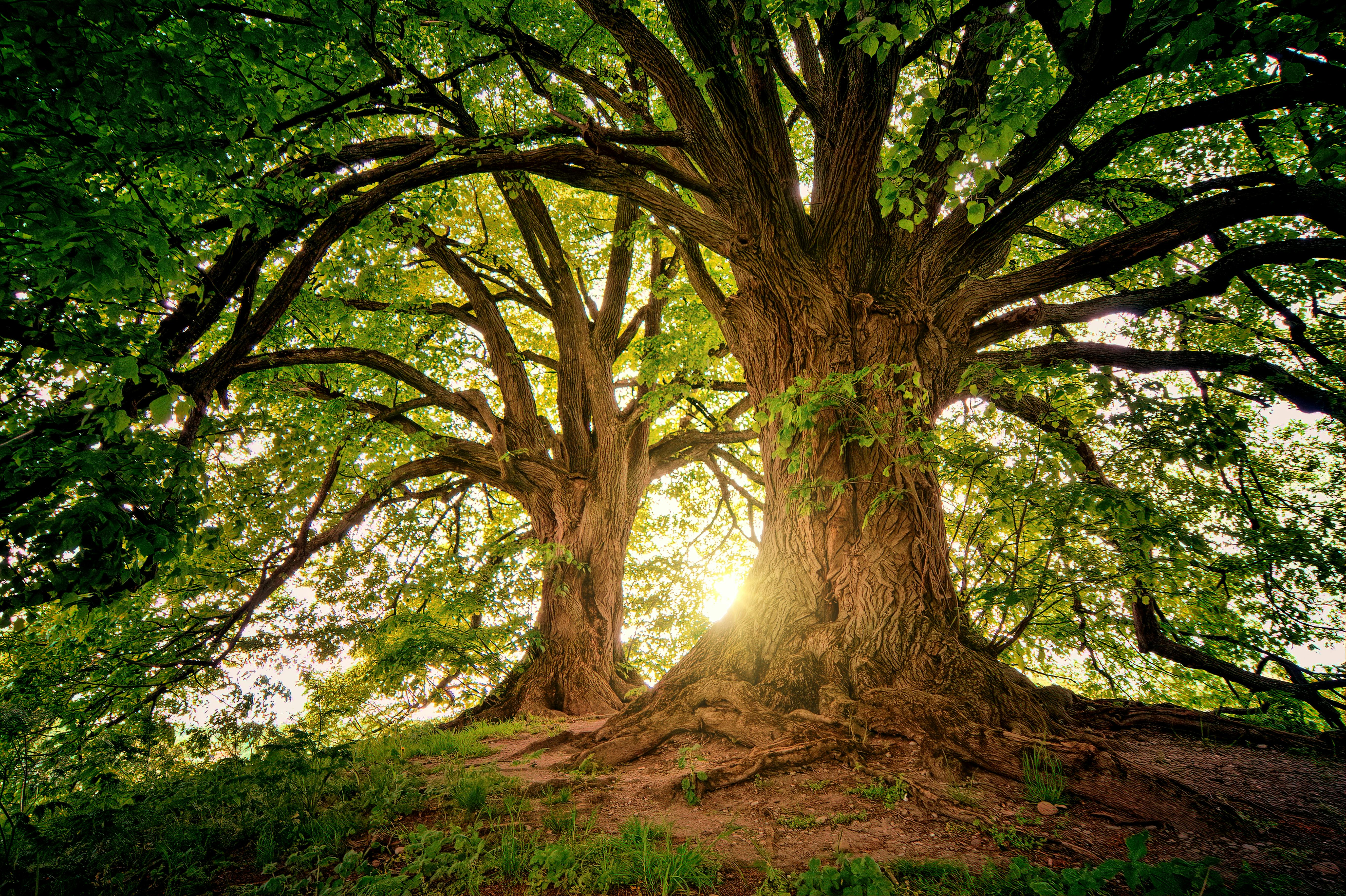 Spiritual mastery training
